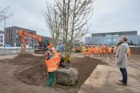 Am Pressetermin auf dem Marlene-Dietrich-Platz hat unter anderem Oberbürgermeister Prof. Dr. Eckart Würzner (rechts) teilgenommen. (Foto: Philipp Rothe) Oberbürgermeister Prof. Dr. Würzner beobachtet das Vorgehen bei der Baumpflanzung.