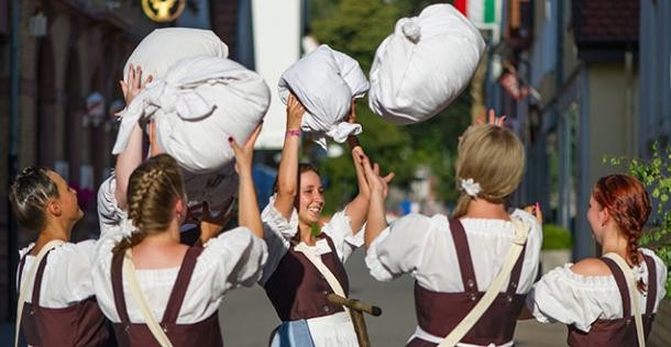 Heidelbergs Stadtteil Ziegelhausen (Foto: Anspach) Heidelbergs Stadtteil Ziegelhausen