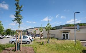 Parklatz der Julius-Springer-Schule (Foto: Stadt Heidelberg) Blick auf Parklatz Julius-Springer-Schule
