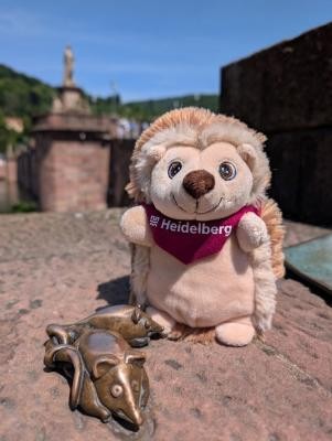 Heidelbergs fair gehandelter Plüsch-Igel: Lokaler Artenschutz trifft den Fairen Handel! (Foto: Stadt Heidelberg) Plüsch-Igel sitzt auf Alter Brücke.