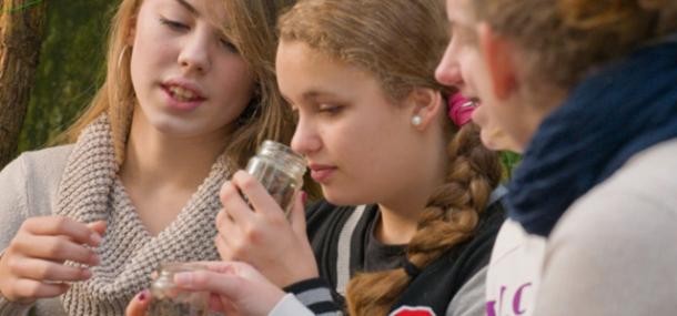 Weiterführende Schulen (Foto: Fülop) Weiterführende Schulen (Foto: Fülop)