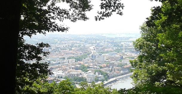 Von Bäumen umrandeter Blick auf die Stadt vom Heiligenberg (Foto: Stadt Heidelberg) Von Bäumen umrandeter Blick auf die Stadt vom Heiligenberg