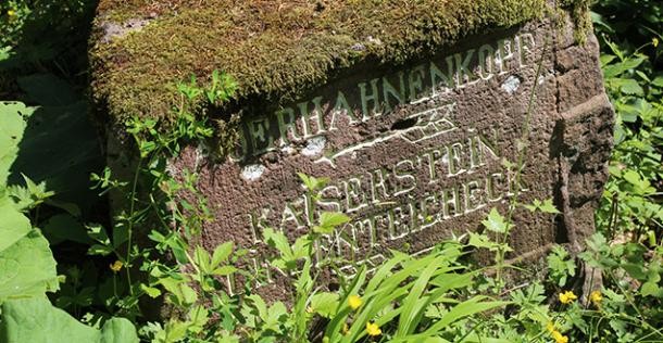 Wegweiserstein Auerhanenkopf. (Foto: Stadt Heidelberg) Wegweiserstein Auerhanenkopf