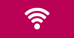 Radfahrer (Foto: Rothe) Radfahrer (Foto: Rothe)