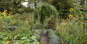 Naturparadies im eigenen Garten. (Foto: Peter Dorn)