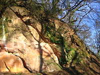 Buntsandstein Heidelberg (Foto: Hartmann)