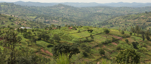 Ökologischer Landbau in Ruanda (Foto: FÖLT)
