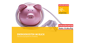 Titelbild Broschüre: Sparschwein und Stromkabel