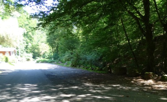 Waldparkplatz bei MSC Heim Kreuzgrund