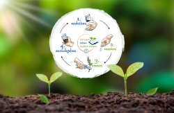 Saatgutbibliothek (Bild: Stadtbücherei Heidelberg, Grafik VDN)