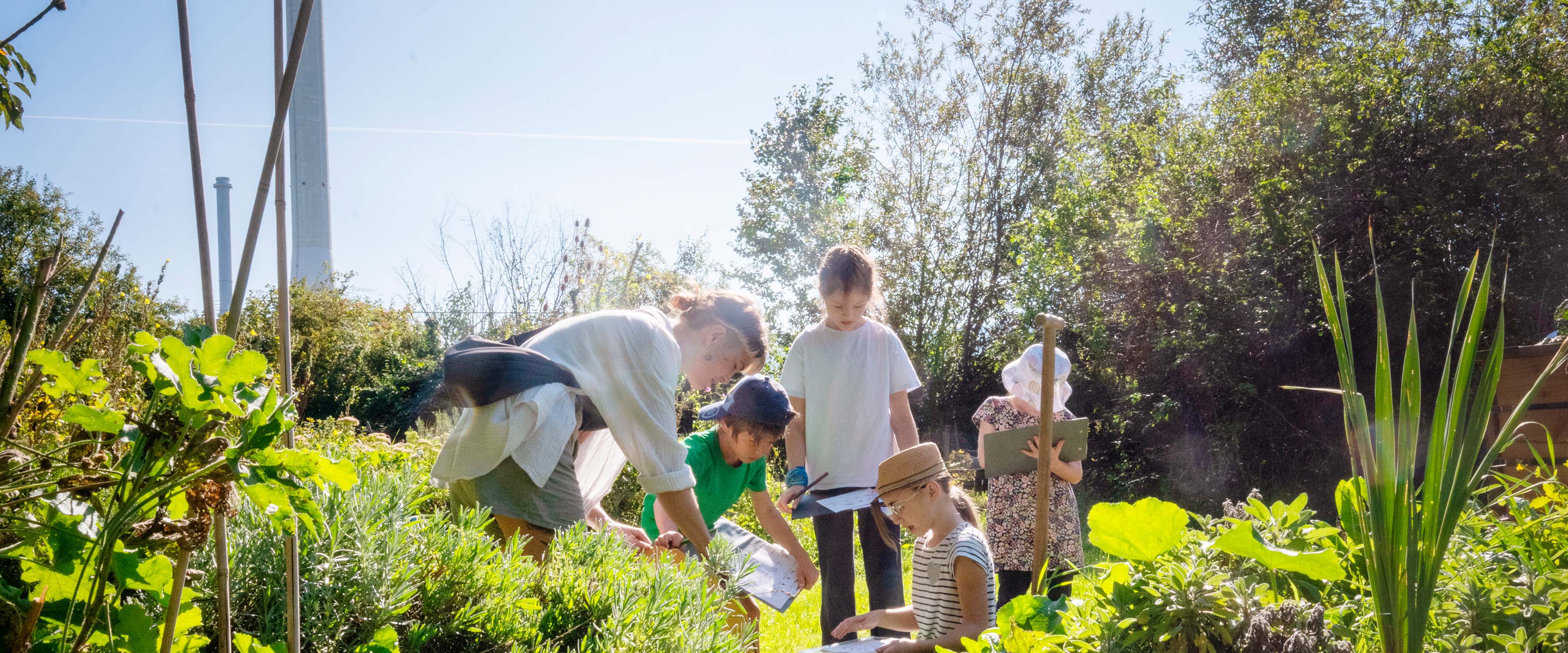 KInder spielen auf grüner Wiese