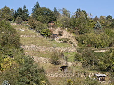 Steinriegel der Steinberg Mauern (Foto: Stadt Heidelberg)