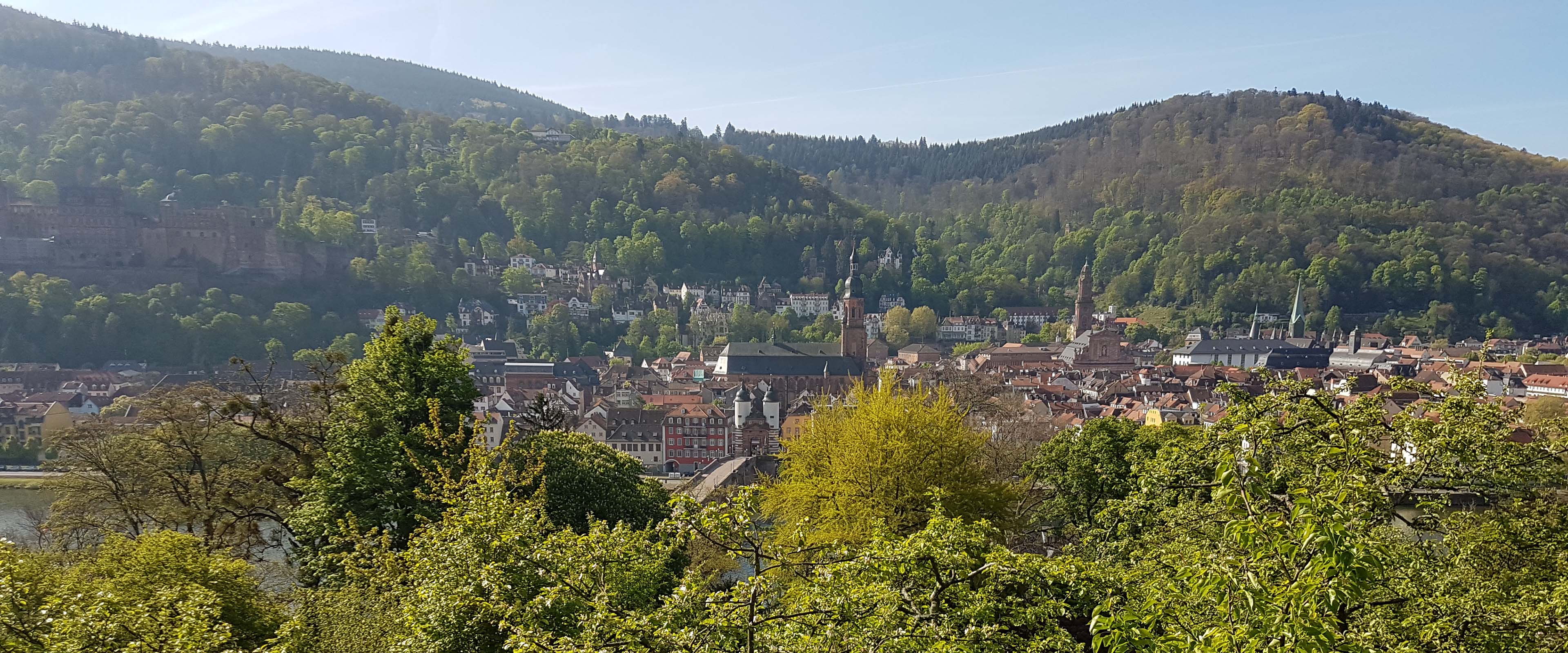 Blick auf Altstadt Heidelberg, Wald und Neckar 