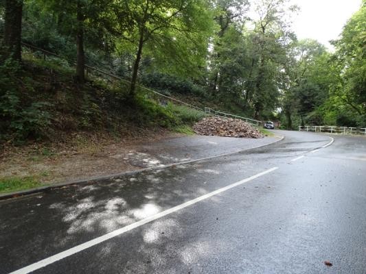 Blick auf den Waldparkplatz Steigerweg